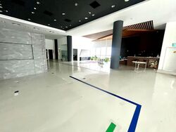 Starhub Green (D14), Factory #595800241